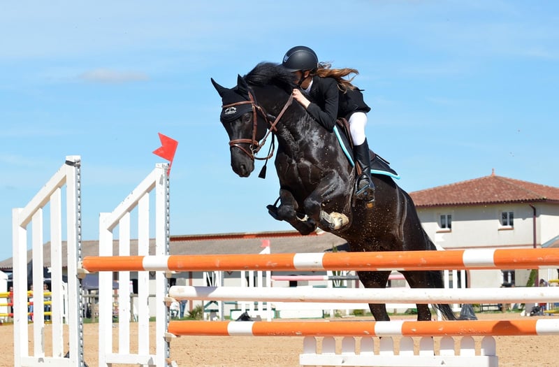 Outsmart Obstacles
